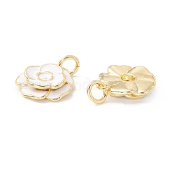 Rack Plating Brass Pendants&nbsp;KK-I684-05G-04-RS