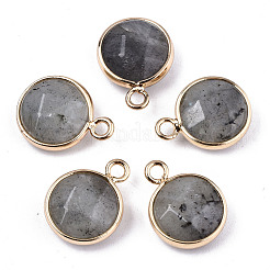 Gemstone Pendants&nbsp;G-T131-101