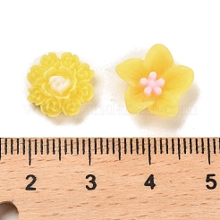 Luminous Resin Decoden Cabochons&nbsp;RESI-K036-05C