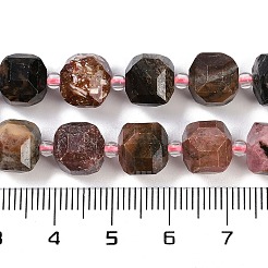 Natural Rhodonite Beads Strands&nbsp;G-B125-O07-01
