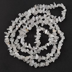 Natural Quartz Crystal Beads Strands&nbsp;G-G0003-B20