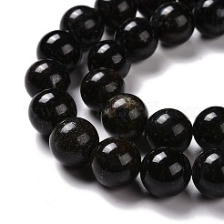 Natural Astrophyllite Beads Strands&nbsp;G-A202-01C