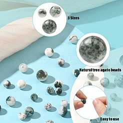 60Pcs 3 Sizes Natural Tree Agate Beads&nbsp;G-YW0002-97
