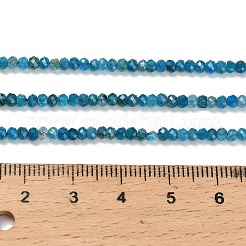 天然石アパタイトビーズ連売り  ロンデル  多面カット  3x2mm  穴：0.7mm  約195個/連  15.39''（39.1センチメートル）&nbsp;G-Z106-H03-02