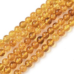 天然琥珀ビーズ連売り  ラウンド  5mm  穴：0.5mm  約71個/連  14.17インチ（36cm）&nbsp;G-L095-B01-5mm-02