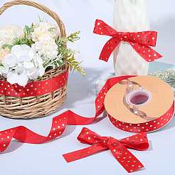 Polyester Ribbon&nbsp;OCOR-WH20816-012A