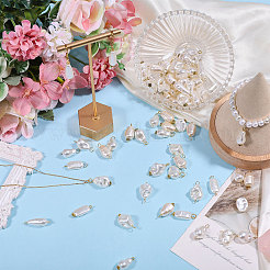 120Pcs 12 Styles ABS Plastic Imitation Pearl Pendants & Connector Charms&nbsp;PALLOY-PH01909