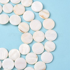 Natural Freshwater Shell Beads&nbsp;S00C20W3