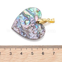 Natural Paua Shell Pendants&nbsp;PALLOY-JF05226-01