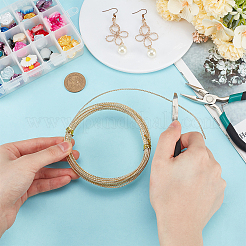 Brass Wire&nbsp;CWIR-WH0024-01D-G01