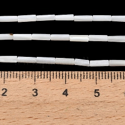天然淡水シェルビーズ連売り  コラム  ゴーストホワイト  6~6.5x2mm  穴：0.4mm  約62個/連  15.28インチ（38.8cm）&nbsp;SHEL-C010-02B