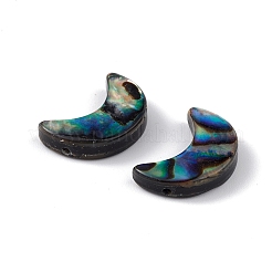 天然アワビシェル/パウアシェルビーズ  ムーン  カラフル  15.5x10.5x3mm  穴：0.9mm&nbsp;SSHEL-M021-08
