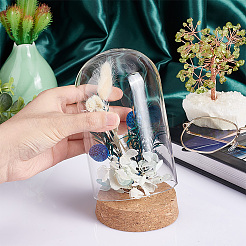 Glass Dome Cover&nbsp;AJEW-PH0004-19C