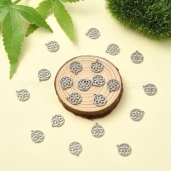 304 Stainless Steel Charms&nbsp;STAS-CJC0008-21P