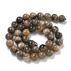 天然石ブラックムーンストーンビーズ連売り  ラウンド  10mm  穴：1.2mm  約40個/連  15.16''（38.5センチメートル）&nbsp;G-Q183-A01-02