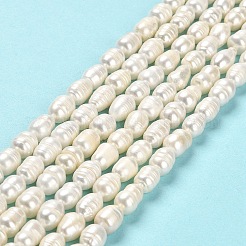Natural Cultured Freshwater Pearl Beads Strands&nbsp;PEAR-E016-172