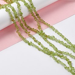天然ペリドットチップビーズ連売り  4~6x3.5~6x2.5~3mm  穴：0.8mm  約256個/連  31.50インチ（80cm）&nbsp;G-G905-09