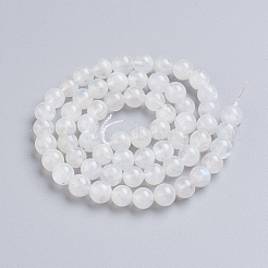 Natural Rainbow Moonstone Beads Strands&nbsp;G-G212-6mm-37