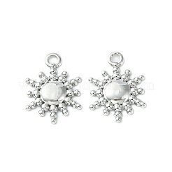Non-Tarnish 304 Stainless Steel Charms&nbsp;STAS-L269-039P