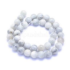 Natural Grey Moonstone Beads Strands&nbsp;G-I279-C01-10mm