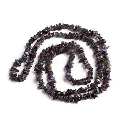Natural Iolite Beads Strands&nbsp;G-D0002-C48