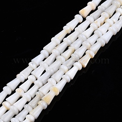 Natural Freshwater Shell Beads Strands&nbsp;SHEL-N026-213