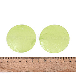 Spray Painted Natural Capiz Shell Connector Charms&nbsp;SSHEL-N039-03-01C