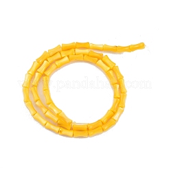 天然淡水シェルビーズ連売り  染め  竹の棒の形  ゴールド  8x4.5mm  穴：0.8mm  約46個/連  14.49インチ（36.8cm）&nbsp;SHEL-G013-01J