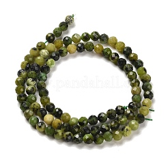 Natural Green Jade Beads Strands&nbsp;G-B107-A08-06
