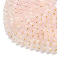 Natural Rose Quartz Beads Strands&nbsp;G-P573-A23-01