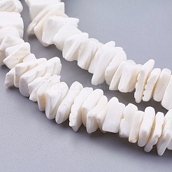 Natural Sea Shell Beads Strands&nbsp;BSHE-K012-08E