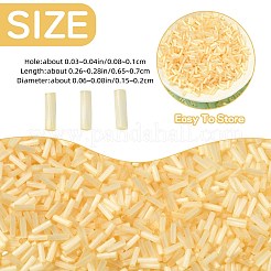 50g Glass Bugle Beads&nbsp;SEED-SZ0001-024G
