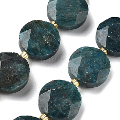 Natural Apatite Beads Strands&nbsp;G-C116-A159-03