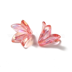 Transparent Acrylic Bead Caps&nbsp;LS-OACR-H016-05G