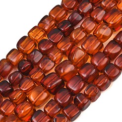 Natural Amber Beads Strands&nbsp;G-K426-A02-03