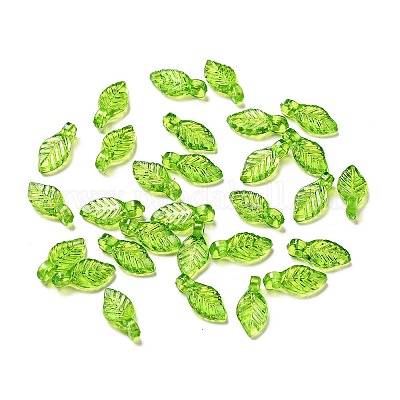 Transparent Acrylic Charms&nbsp;MACR-C009-12-1