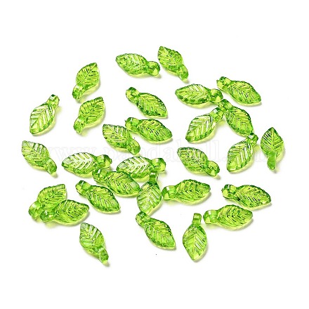 Transparent Acrylic Charms&nbsp;MACR-C009-12-1