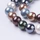 Shell Pearl Beads Strands&nbsp;BSHE-L035-6mm-I14-1