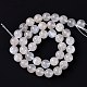 Natural Rainbow Moonstone Beads Strands&nbsp;G-I249-B04-06-3