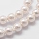 シェルパールビーズ連売り  グレードA  洗練された  ラウンド  ホワイト  6mm  穴：1mm  約63個/連  15.70''（39.88センチメートル）&nbsp;BSHE-L025-01-6mm-3