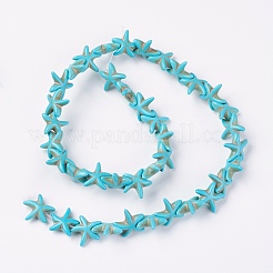 Synthetic Turquoise Beads Strands&nbsp;G-E456-06A-15mm