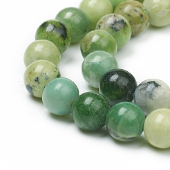 Natural Serpentine Beads Strands&nbsp;G-G829-06-8mm