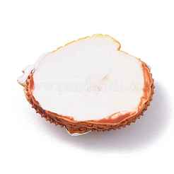 Resin Cabochons&nbsp;CRES-G017-05