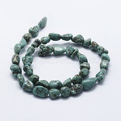 Natural Magnesite Beads Strands&nbsp;G-P349-02