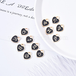 Light Gold Plated Alloy Enamel Pendants&nbsp;ENAM-R055-05B