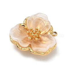 304ステンレスペンダント  アクリルと  花のチャーム  PVD真空メッキ  18KGP本金メッキ  砂茶色  25x25x10mm  穴：1.8mm&nbsp;STAS-C174-15G-05