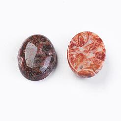 Natural Leopard Skin Jasper Cabochons&nbsp;G-LS18x13x10