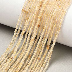 天然石ゴールドルチルクォーツビーズ連売り  多面カット  ラウンド  2mm  穴：0.5mm  約203個/連  15.16''（38.5センチメートル）&nbsp;G-F509-42-2mm-01