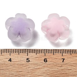 Frosted Transparent Acrylic Beads&nbsp;OACR-A032-25