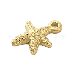 304 Stainless Steel Charms&nbsp;STAS-U023-12G